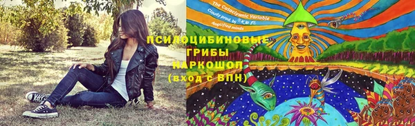 хмурый Кукмор