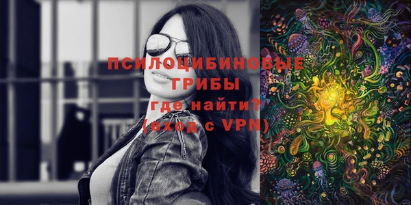 хмурый Кукмор