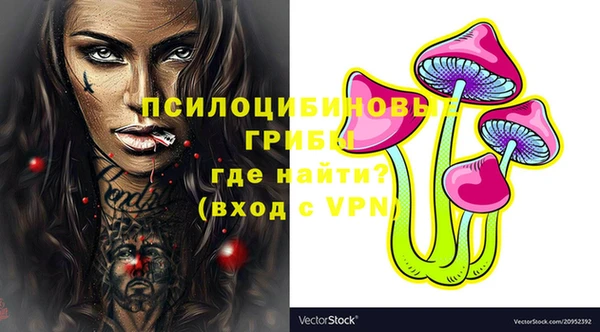 прущие грибы Лагань